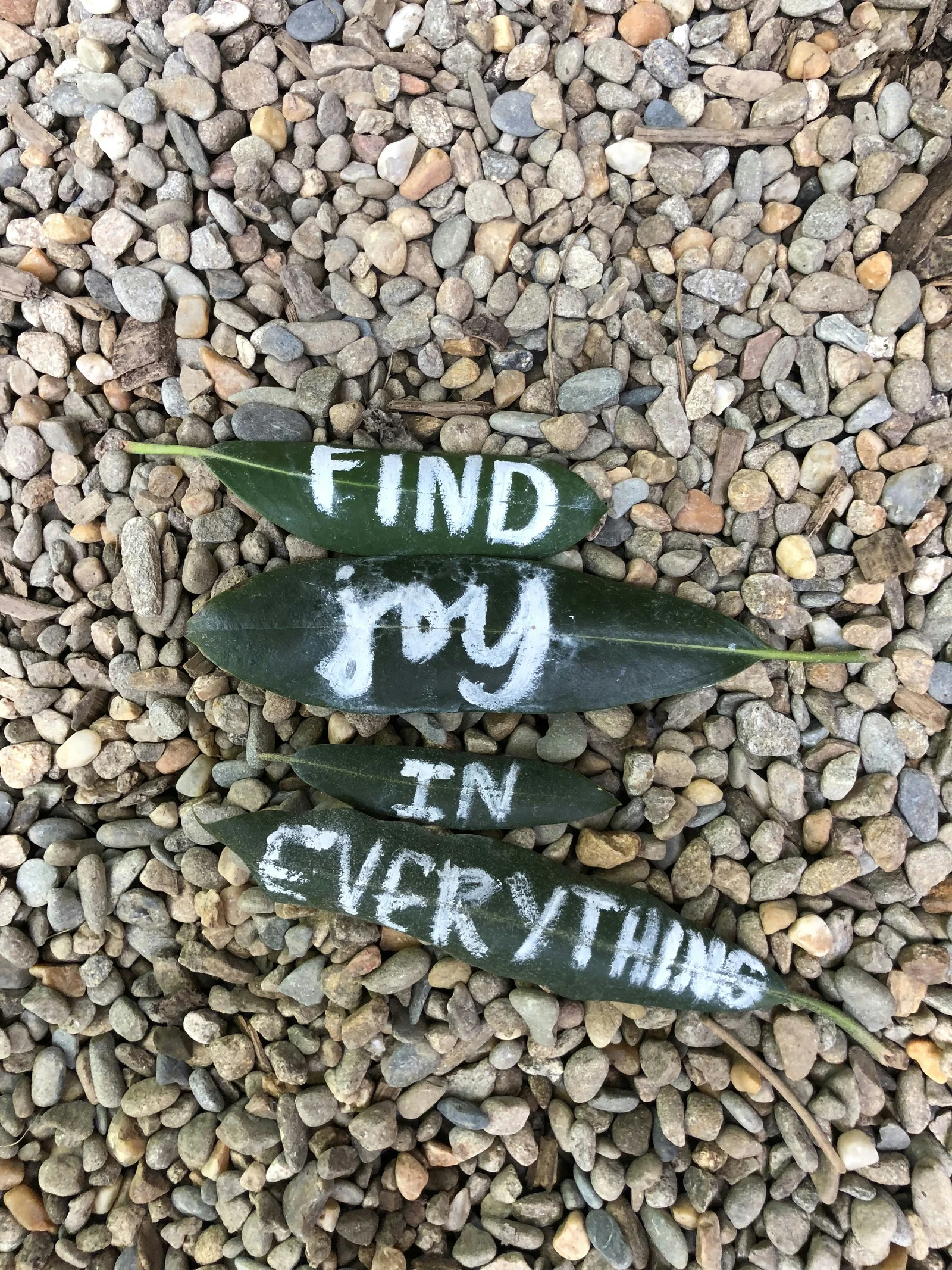 Finding Joy in the Everyday: Small Acts of Self-Care