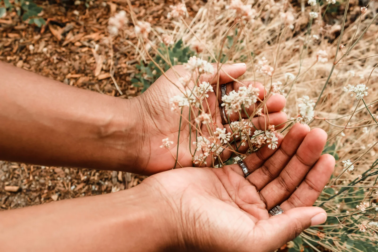 How Acupuncture Supports Relaxation: What to Expect
