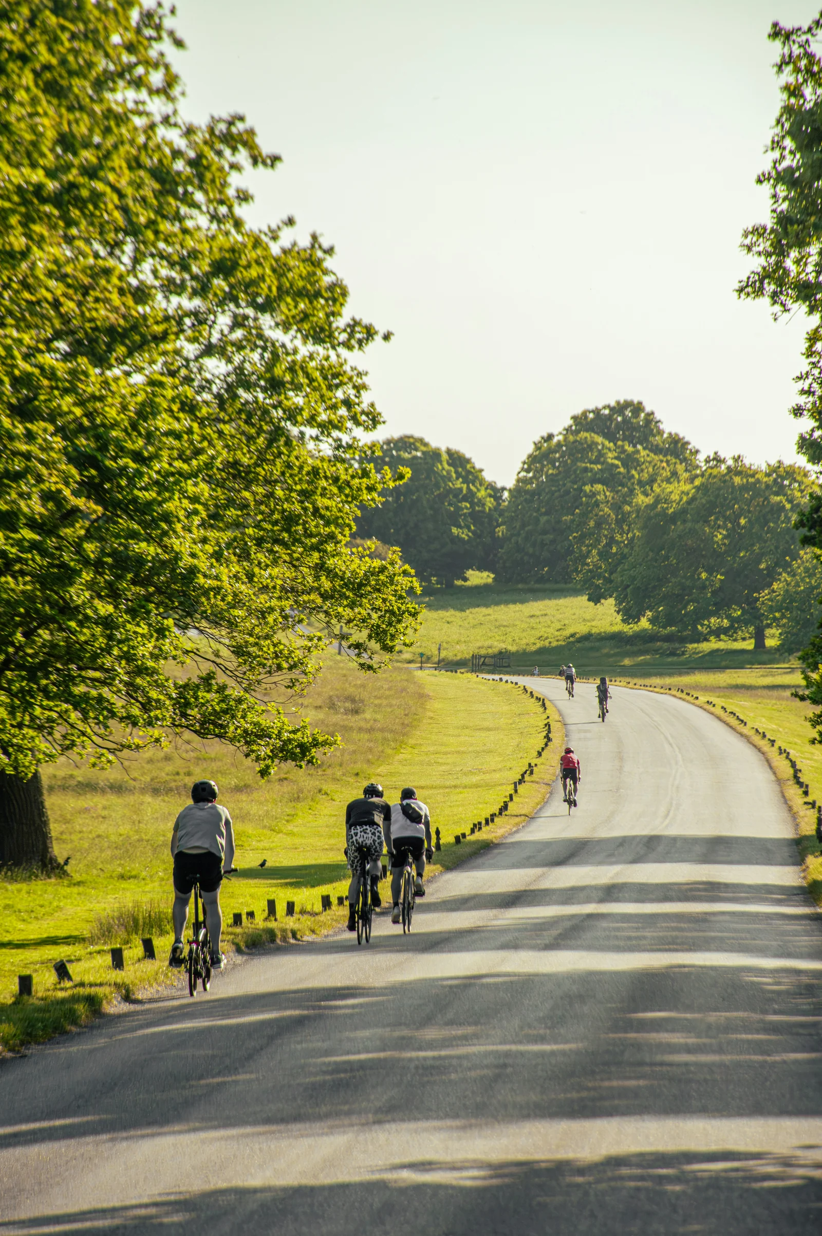 Moving Well in Summer: How to Keep Active When It's Hot