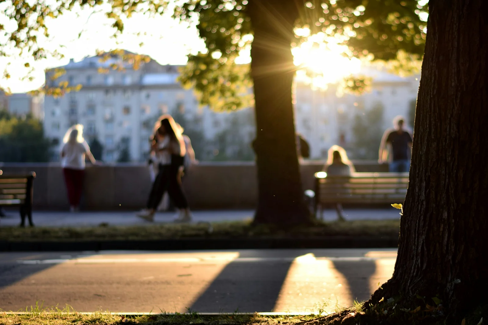 Moving With Summer Energy: Exercise, Rest and the Fire Element