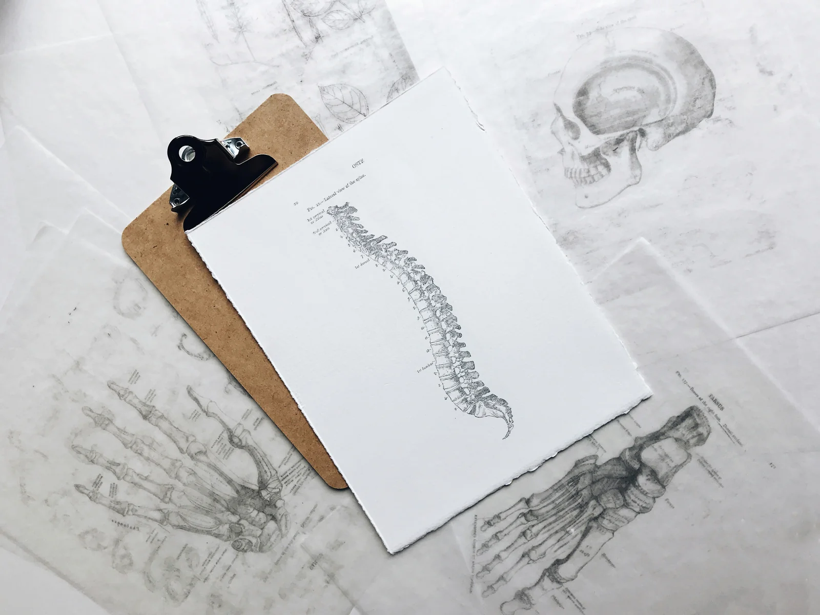 What Is Craniosacral Therapy?