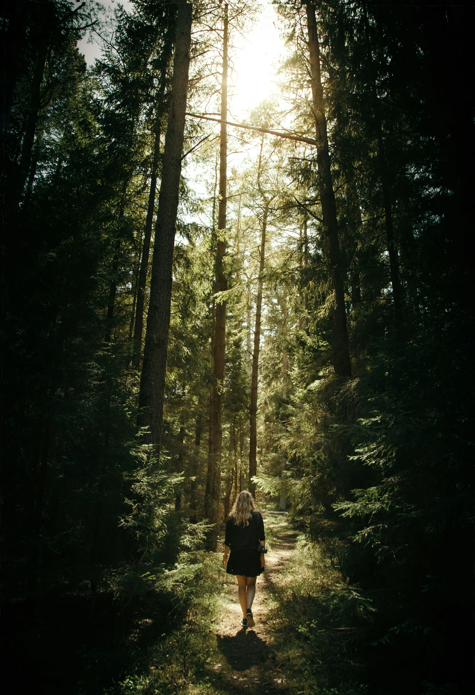 Why Stress Isn't the Enemy (and What to Do About It)