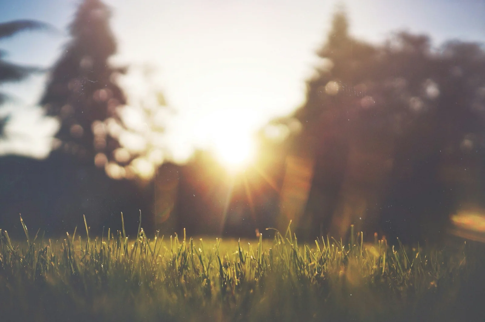 Your Body in Autumn: Letting Go and the Metal Element