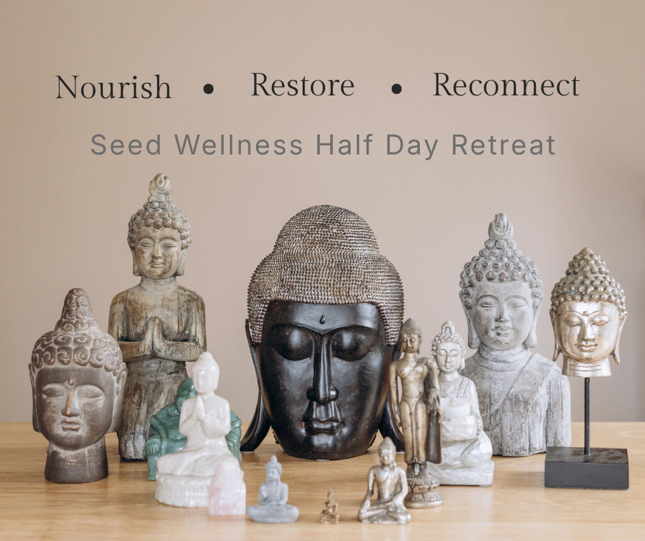 Seed Wellness Pro-Ageing Retreat